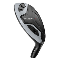 Quantum Max OS Hybrid 