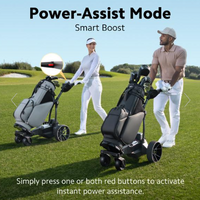 Navee Birdie 3 Electric Remote Trolley